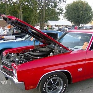 Meet your Posher, Steve